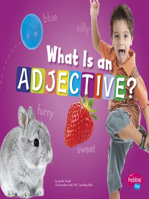 cover image of What Is an Adjective?